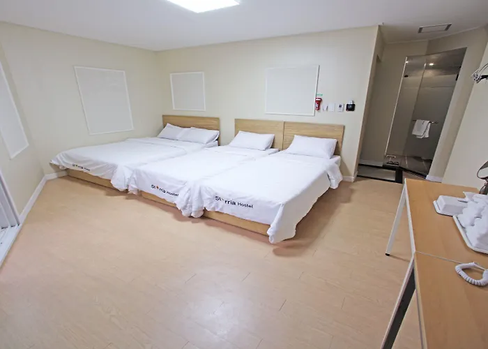 Starria Foreign Guest Only 3*
