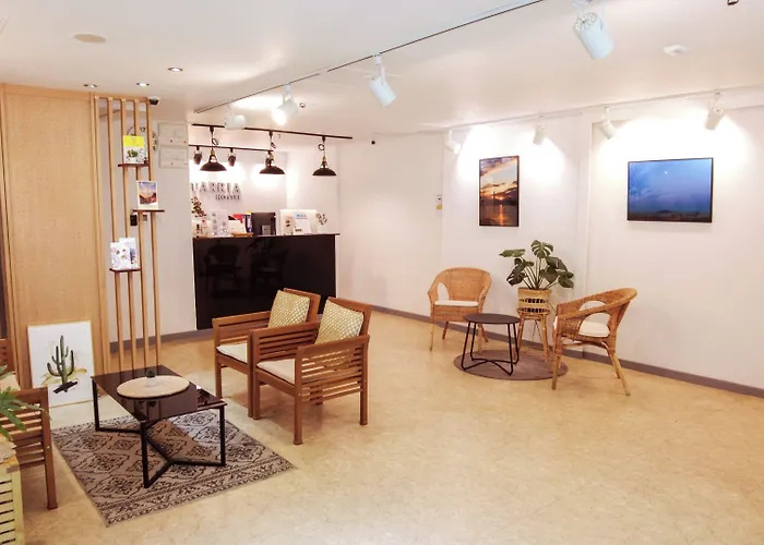 Starria Foreign Guest Only 3*