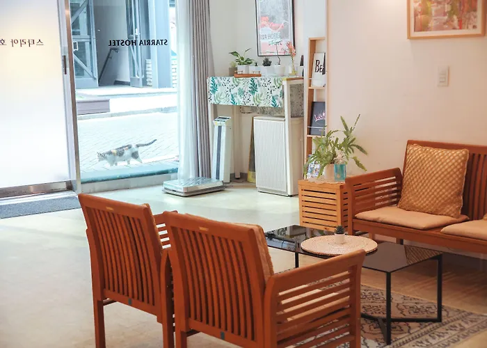 Pensión Starria Foreign Guest Only Seúl